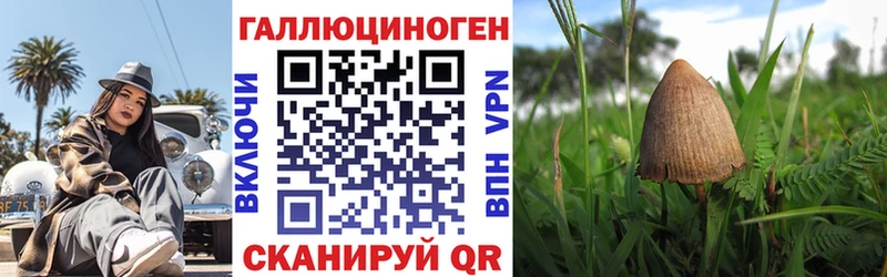 Купить  Дорогобуж  Псилоцибиновые грибы мухоморы 