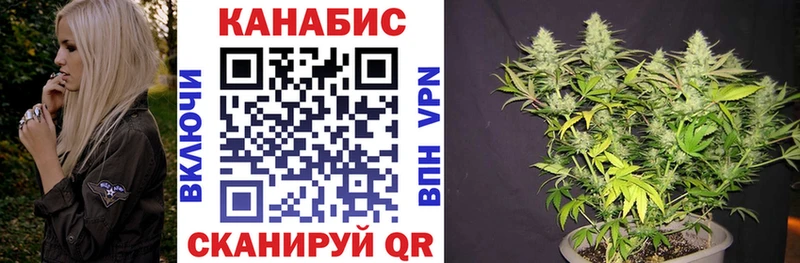 Купить  Дорогобуж  Канабис индика 